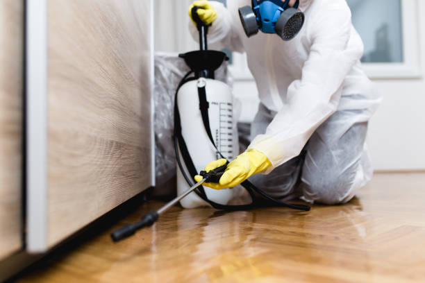 Best Termite Control Services  in Grove Hill, AL