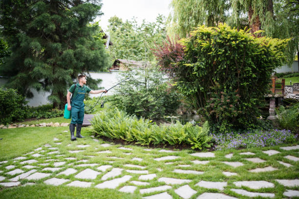 Best Pest Inspection Near Me  in Grove Hill, AL