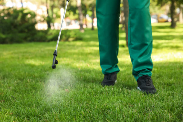 Best Residential Pest Control  in Grove Hill, AL
