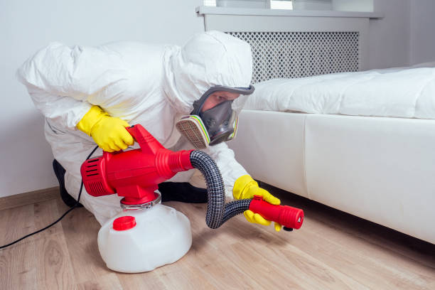 Best Best Pest Control Companies  in Grove Hill, AL