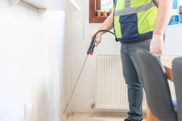 Best Local Pest Control Services  in Grove Hill, AL