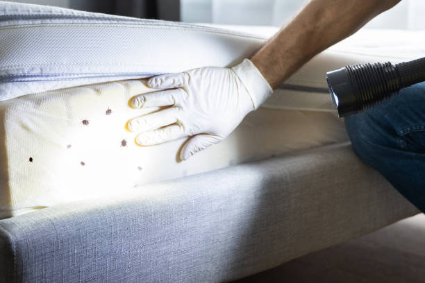 Best Exterminator Services  in Grove Hill, AL