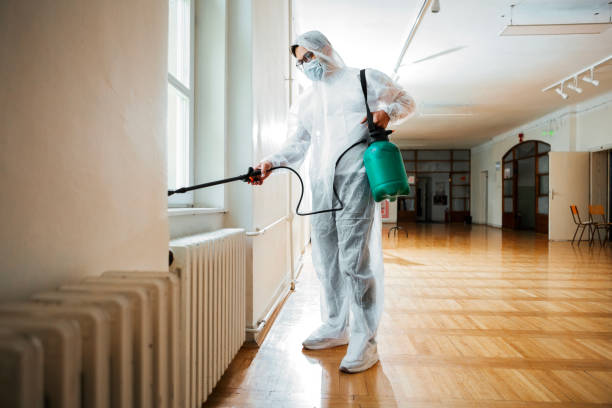 Best Insect Control  in Grove Hill, AL