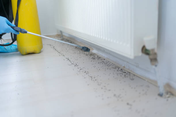 Best Emergency Pest Control  in Grove Hill, AL