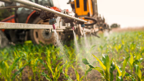 Best Pest Control for Businesses  in Grove Hill, AL